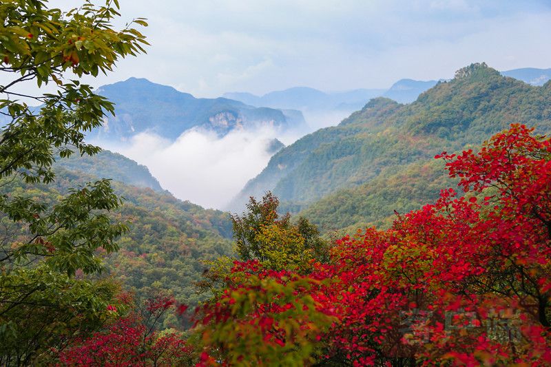 云臺(tái)山景區(qū)小程序正式上線